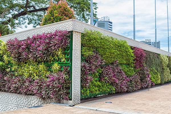 Vertical Garden Service In Mumbai