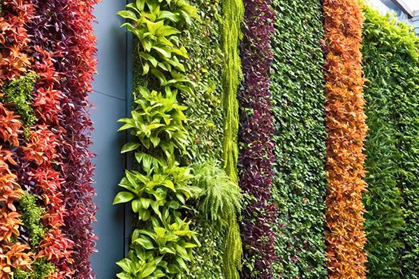 Vertical Garden Service In Mumbai