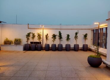 Gallery 45