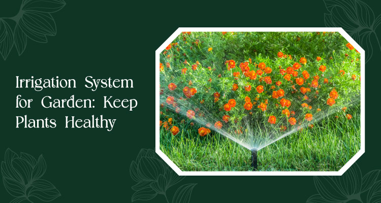 Irrigation System For Garden Keep Plants Healthy