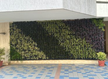 gallery 71