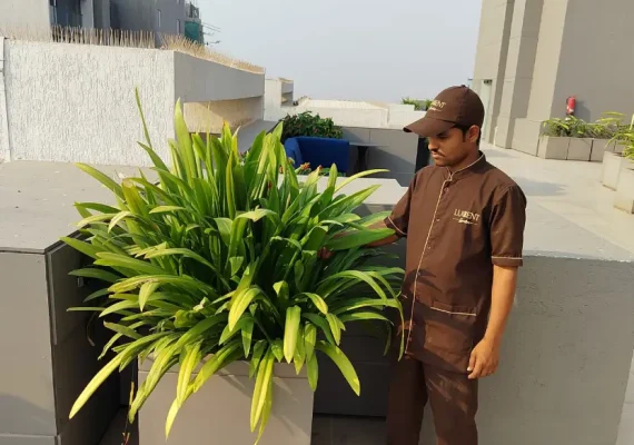 Rustom Paramount (1)